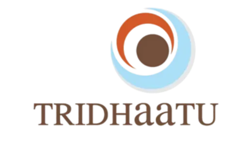 Logo 13